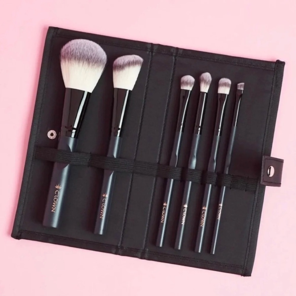 6 piece pro brush set